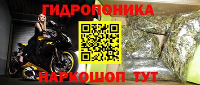 гидра Пушкино