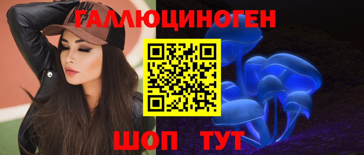 Псилоцибиновые грибы мицелий  Галлюциногенные грибы Psilocybine cubensis  что такое   Сальск  Вход с VPN 